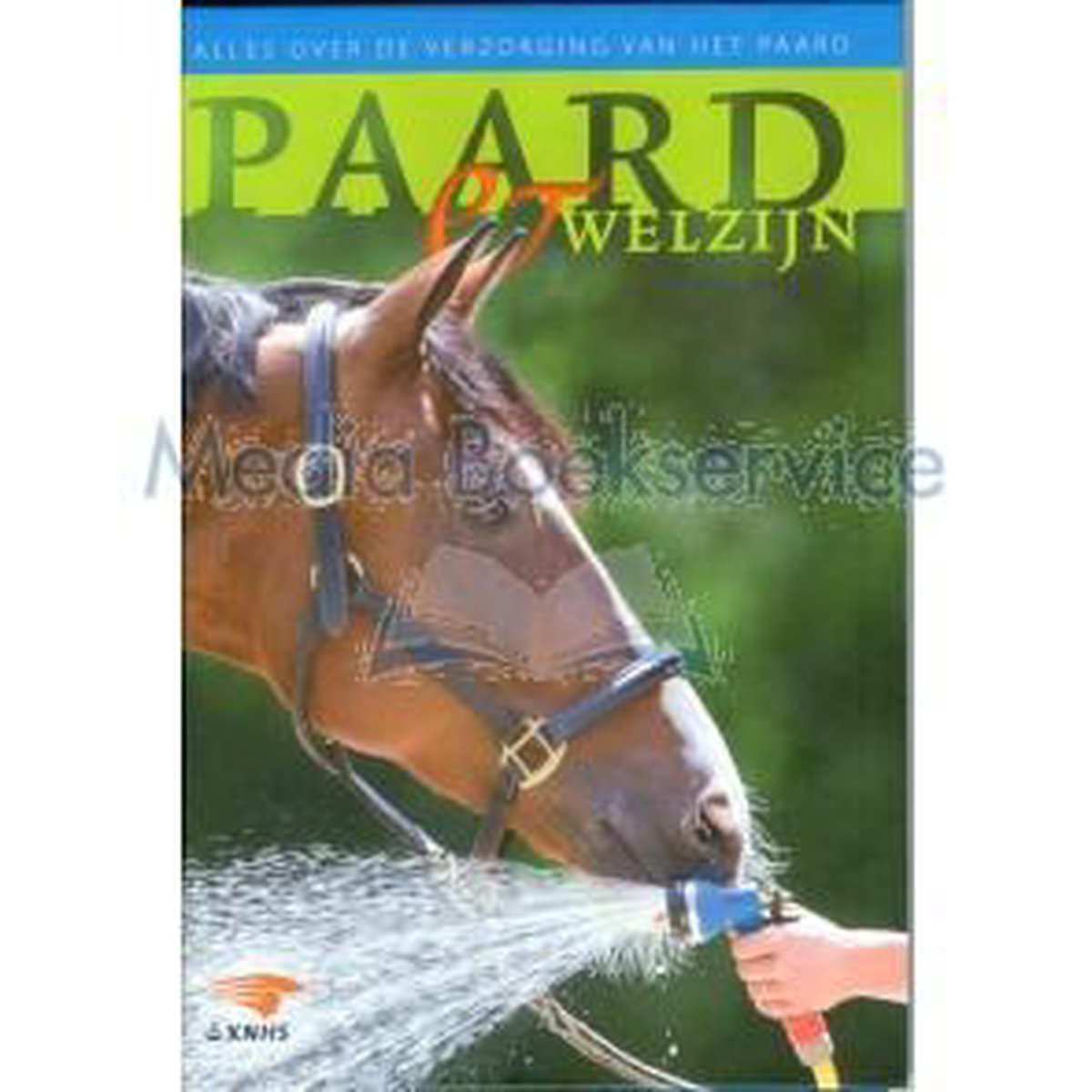 Paard en Welzijn