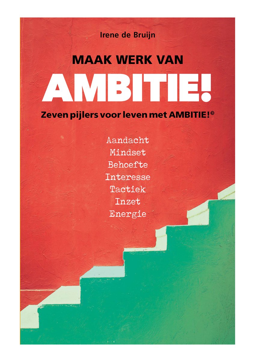 Maak werk van AMBITIE!© / AMBITIE!© Persoonlijk leiderschapsaanpak met toegepaste NLP / 1