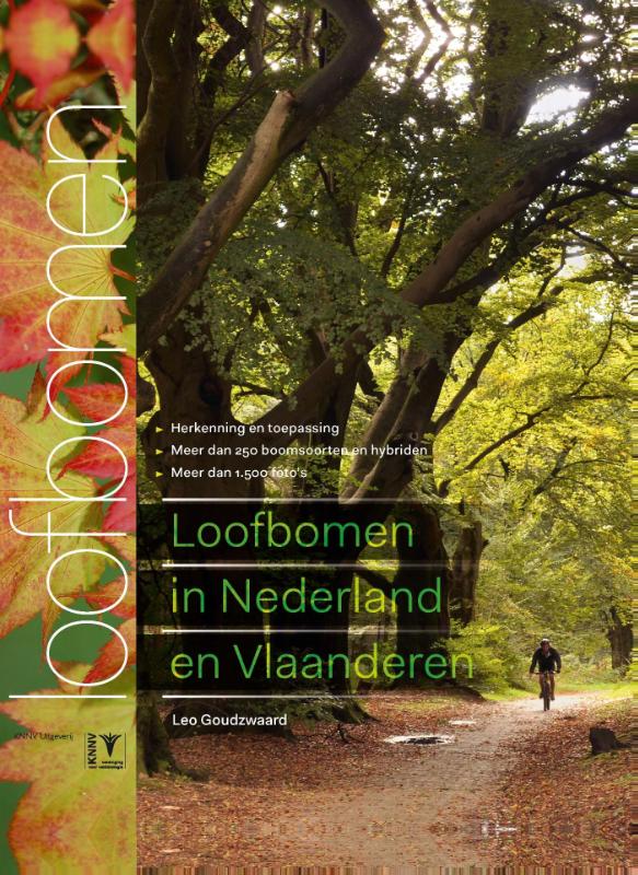 Loofbomen in Nederland en Vlaanderen