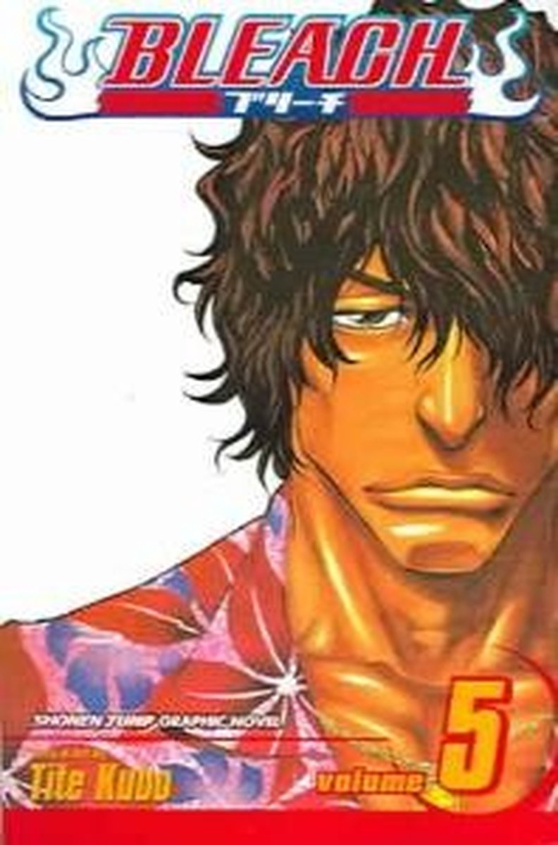 Bleach Vol 5