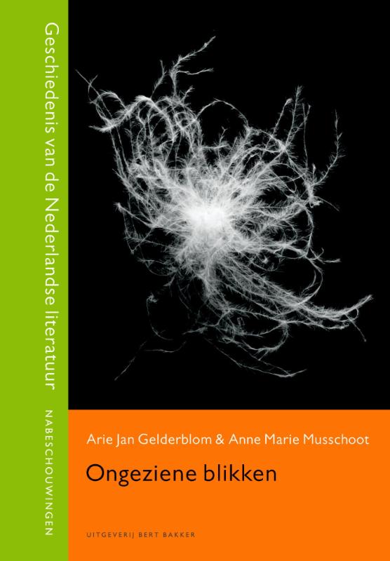 Ongeziene blikken / Geschiedenis van de Nederlandse literatuur