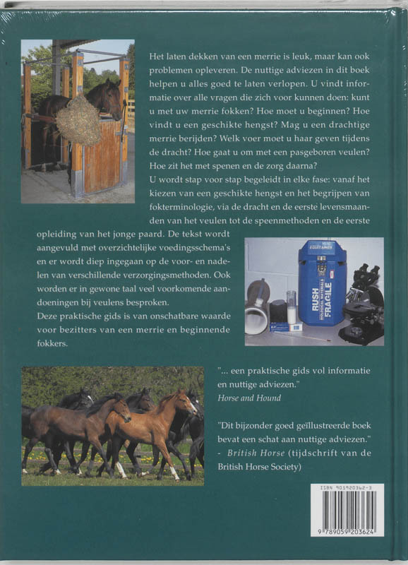 Van Veulen Tot Volwassen Paard achterkant