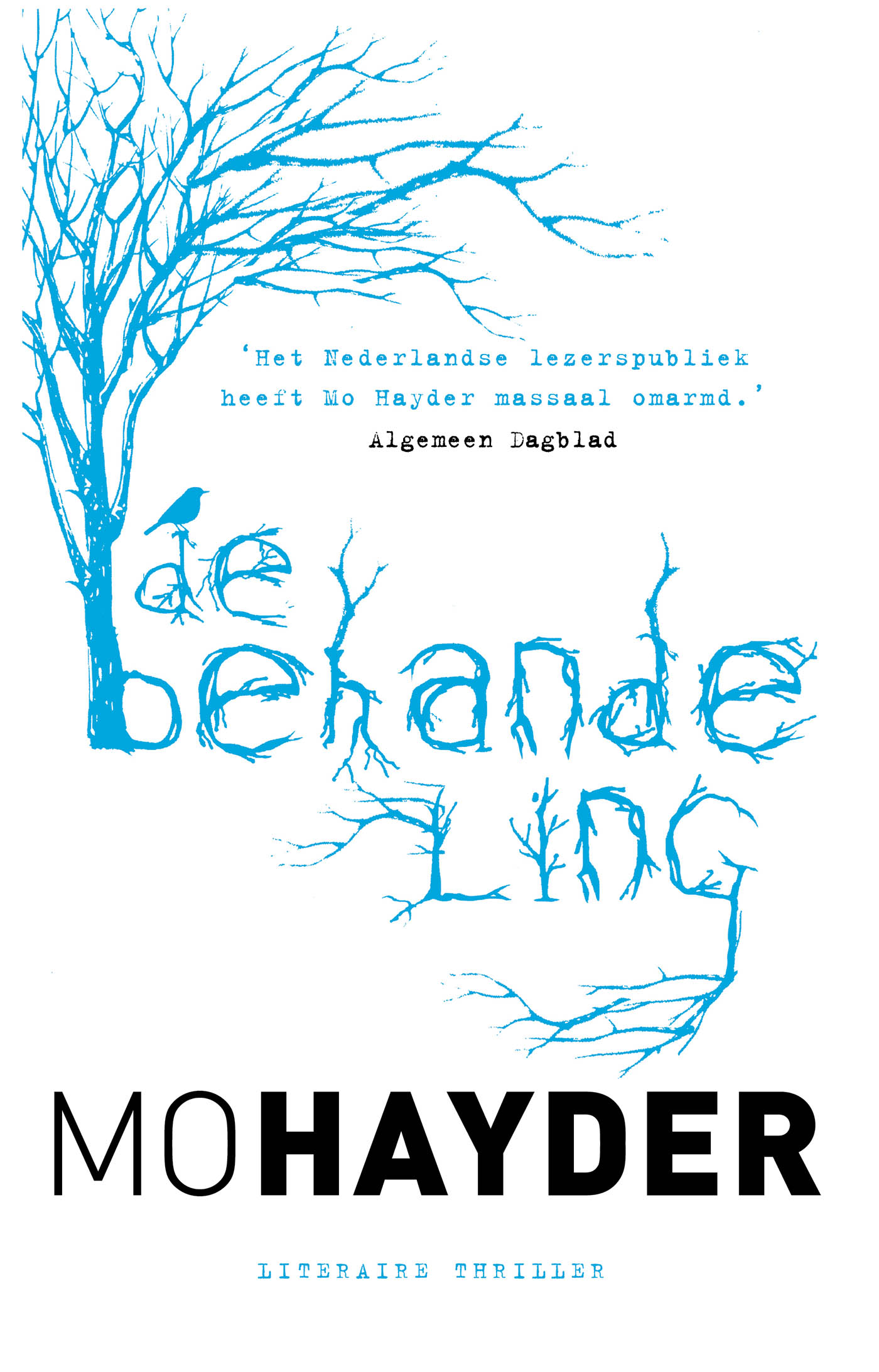 De behandeling