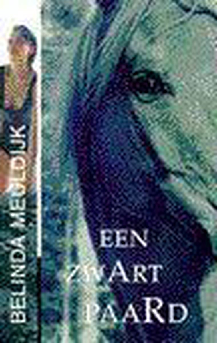 Zwart paard