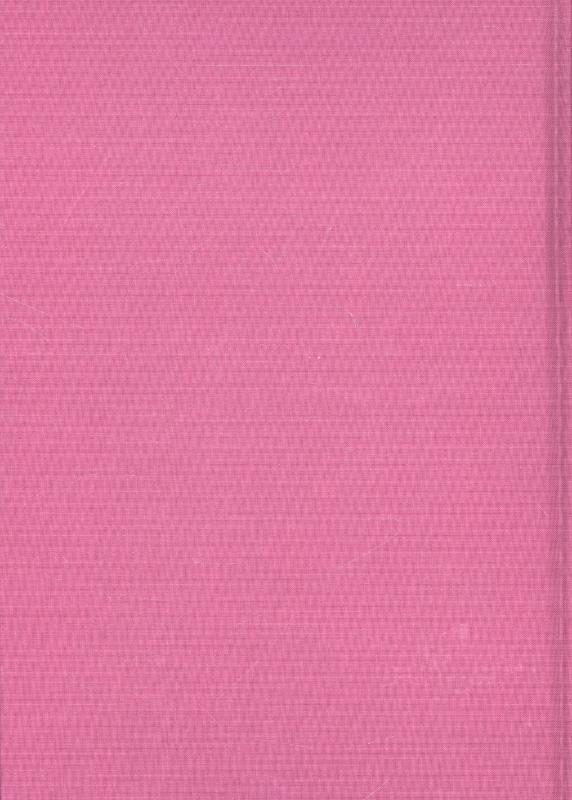 Worm en donder / Geschiedenis van de Nederlandse literatuur achterkant