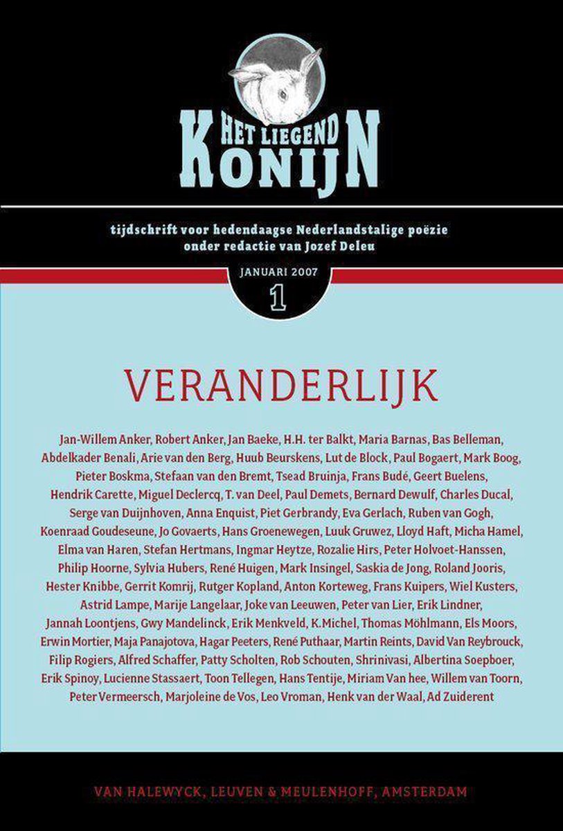 Liegend Konijn 2007/1 Veranderlijk