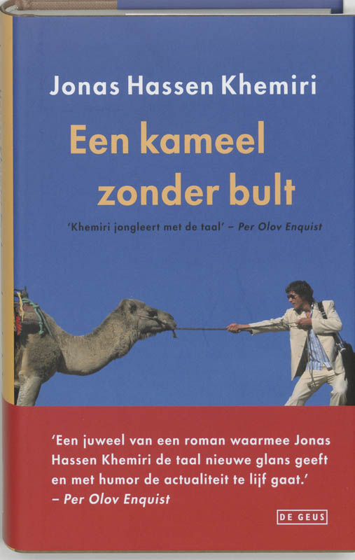 Kameel Zonder Bult