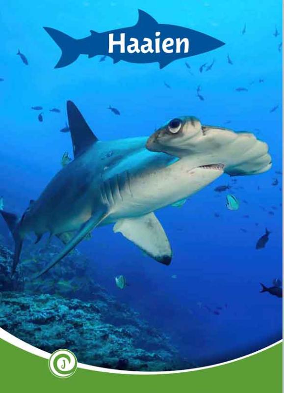 Haaien / Junior Informatie / 151