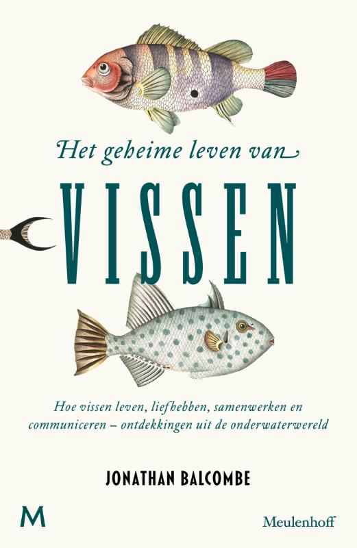 Het geheime leven van vissen