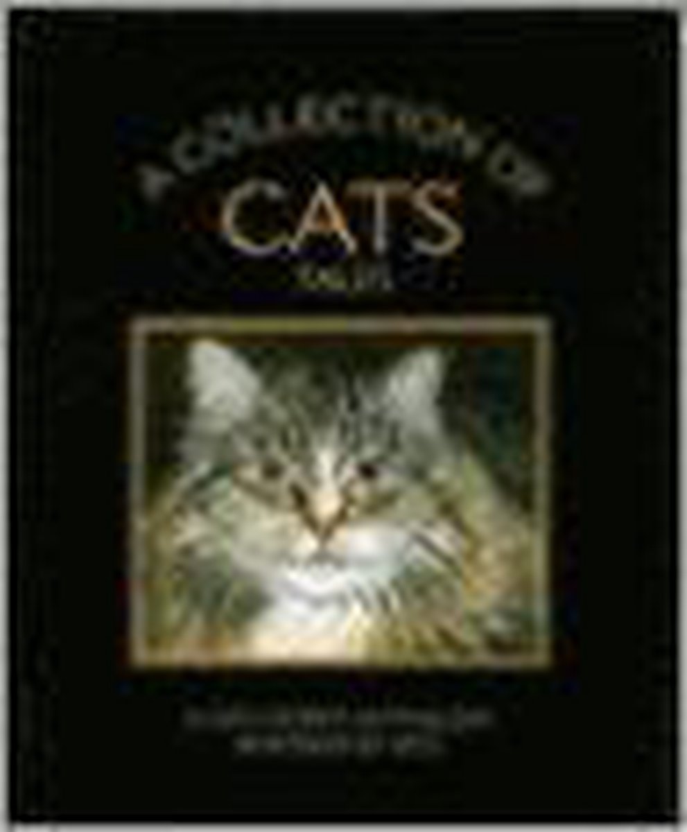 A Collection Of Cats Tales