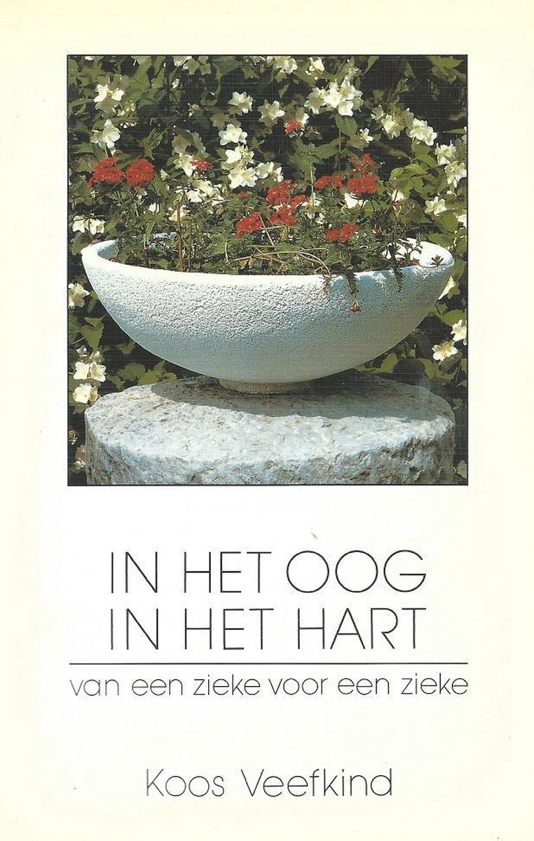 In het oog in het hart