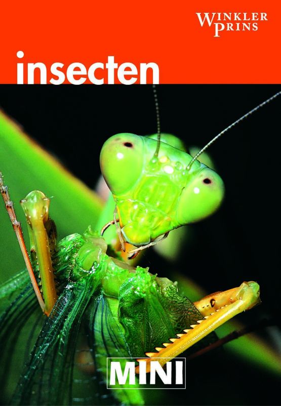Mini WP / Insecten / Mini Winkler Prins