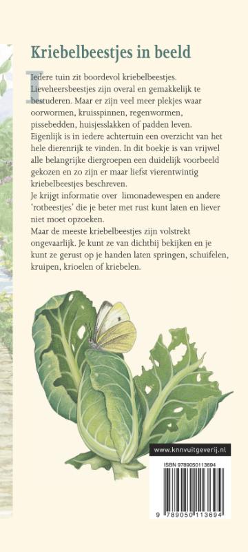 Kriebelbeestjes in beeld / In beeld / 26 achterkant