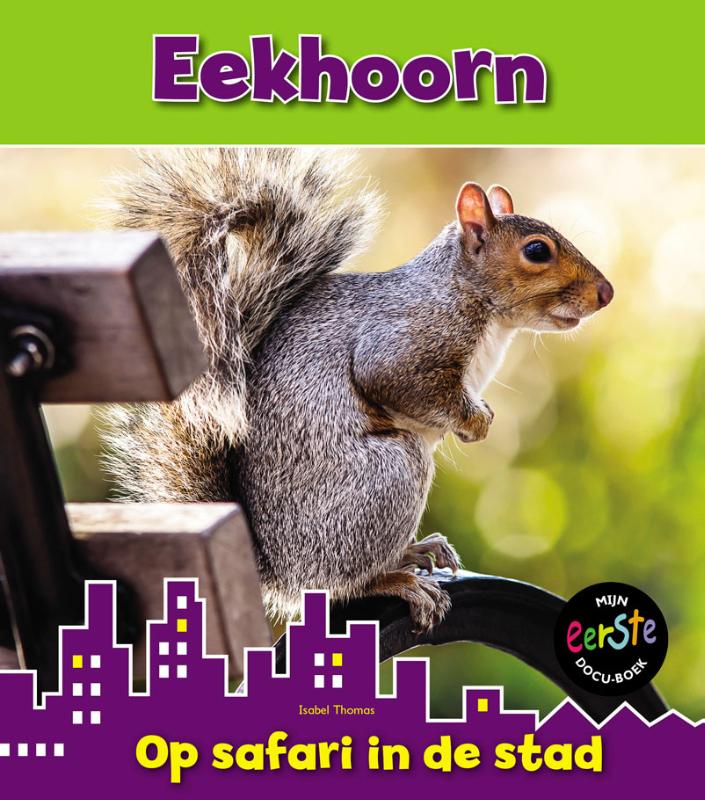 Op safari in de stad  -   Eekhoorn
