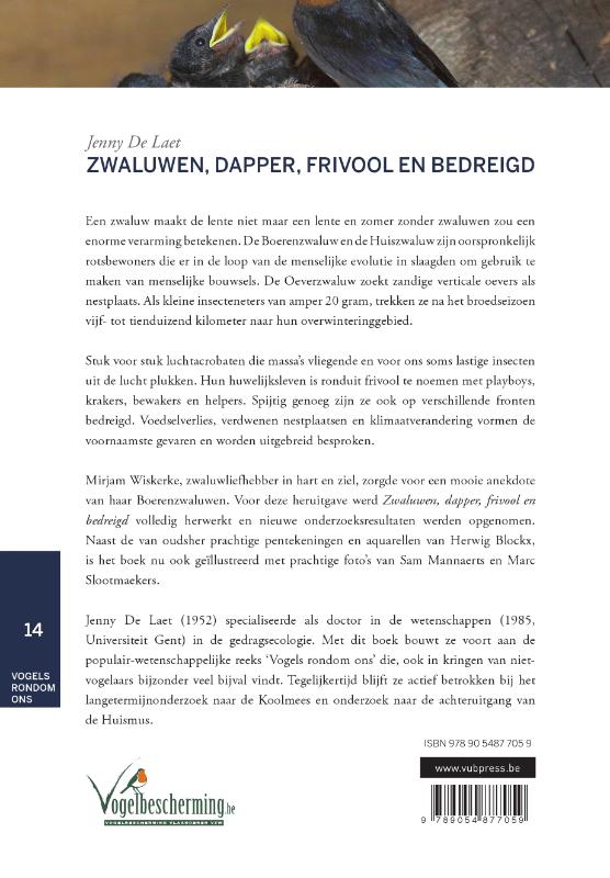 Zwaluwen, dapper, frivool en bedreigd achterkant