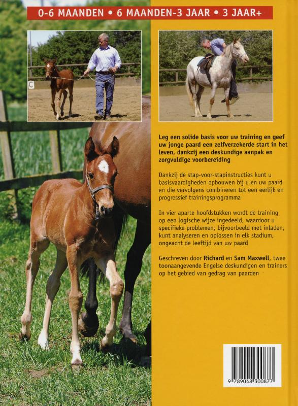 De training van het jonge paard achterkant
