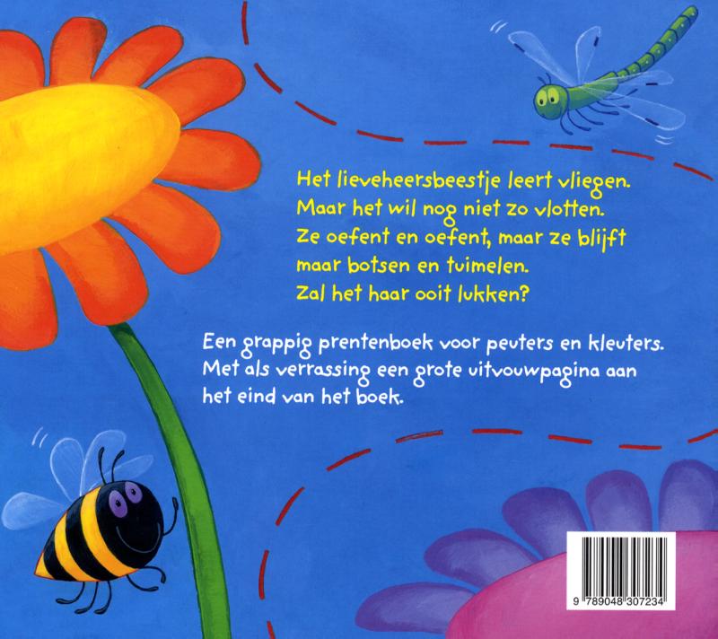 Kijk uit, lieveheersbeestje! achterkant