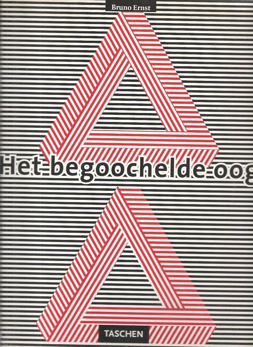 Het begoochelde oog