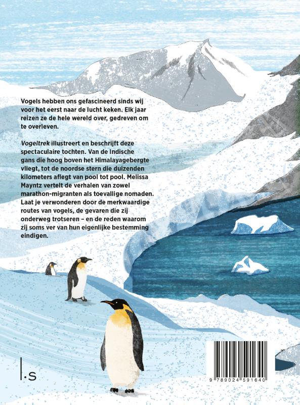 Vogeltrek achterkant