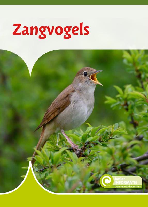Zangvogels / Junior Informatie / 136