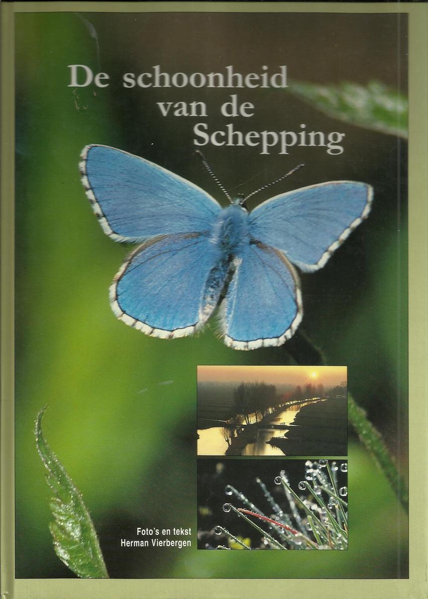 Schoonheid van de schepping