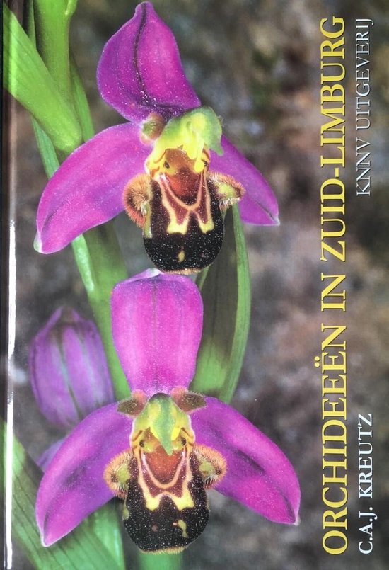Orchideeen in zuid-limburg