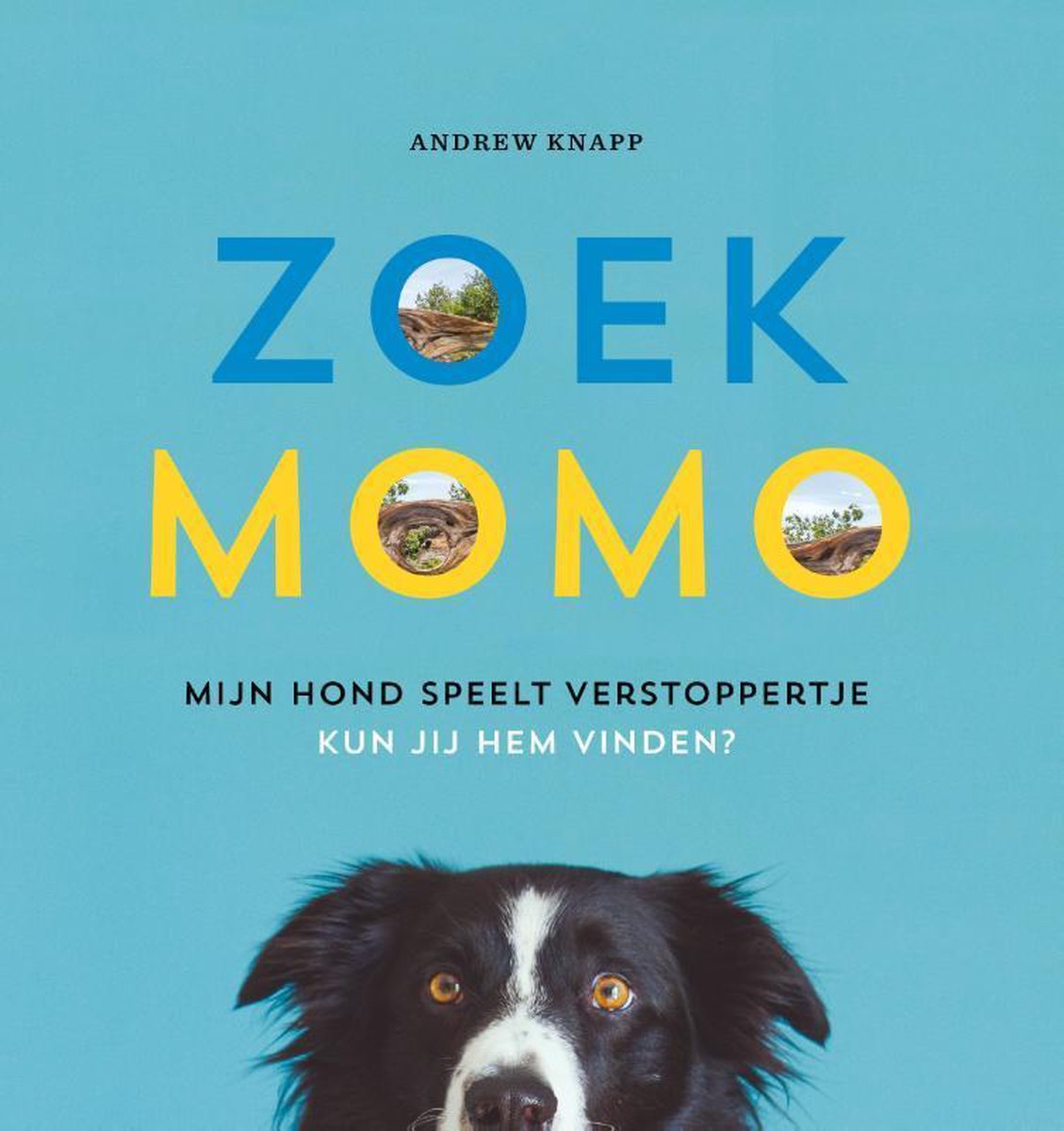 Zoek Momo / Momo