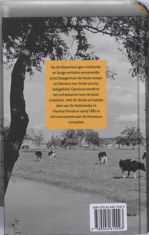 Nederlandse en Vlaamse literatuur vanaf 1880 in 200 essays achterkant