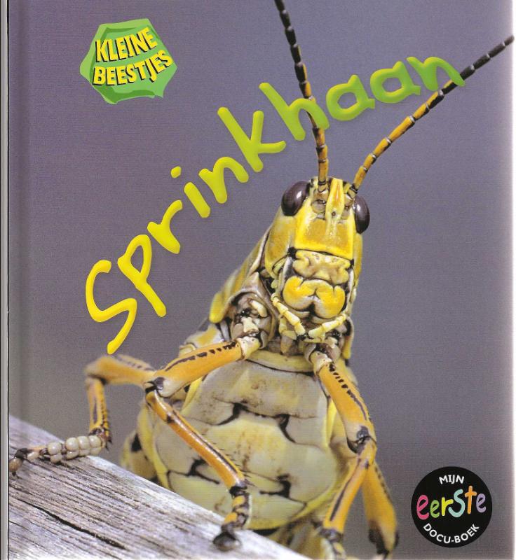 Sprinkhaan / Kleine beestjes