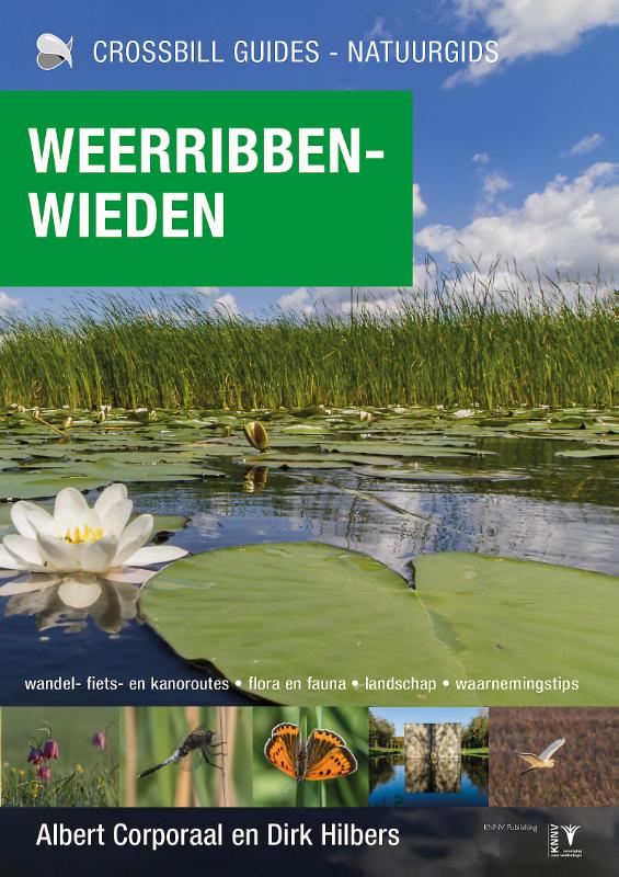 Weerribben-Wieden / Crossbill guides / 35