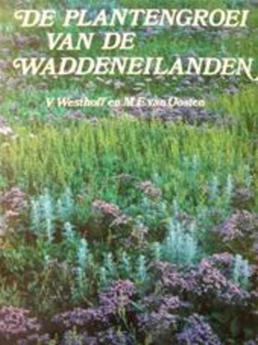 De plantengroei van de waddeneilanden