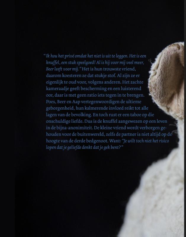 Verborgen vrienden achterkant