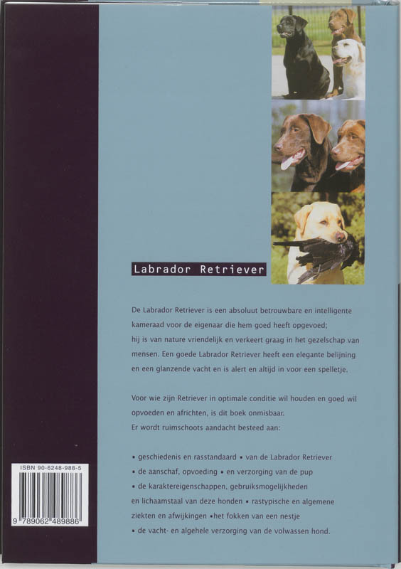 Labrador Retriever. Aanschaf, verzorging, voeding, fokken achterkant