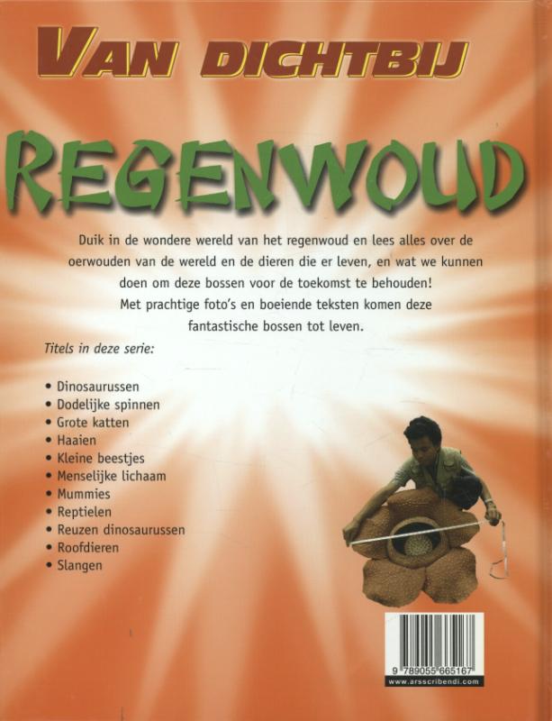 Regenwoud / Van dichtbij achterkant