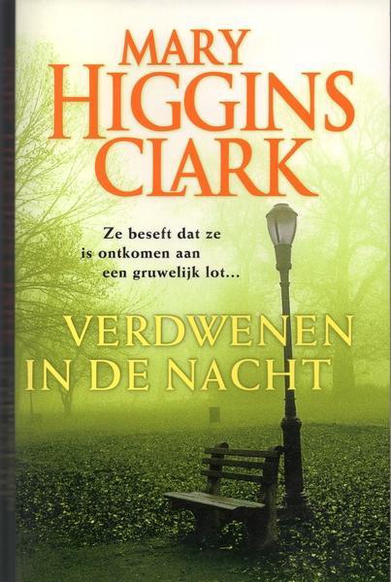 Verdwenen in de nacht