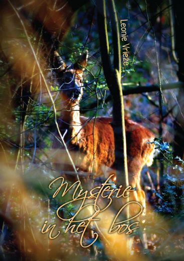 Mysterie in het bos