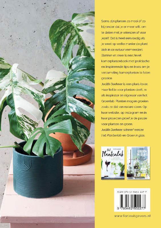 Stekken en meer achterkant