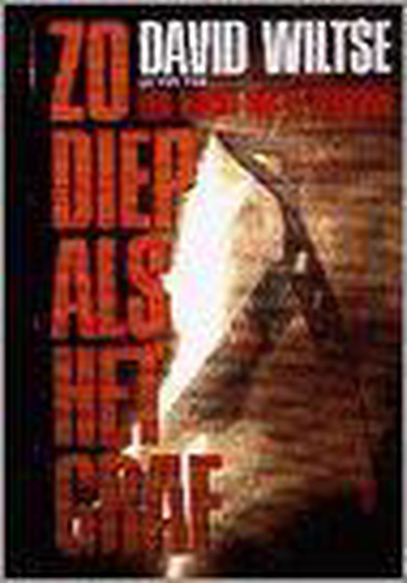 Zo diep als het graf