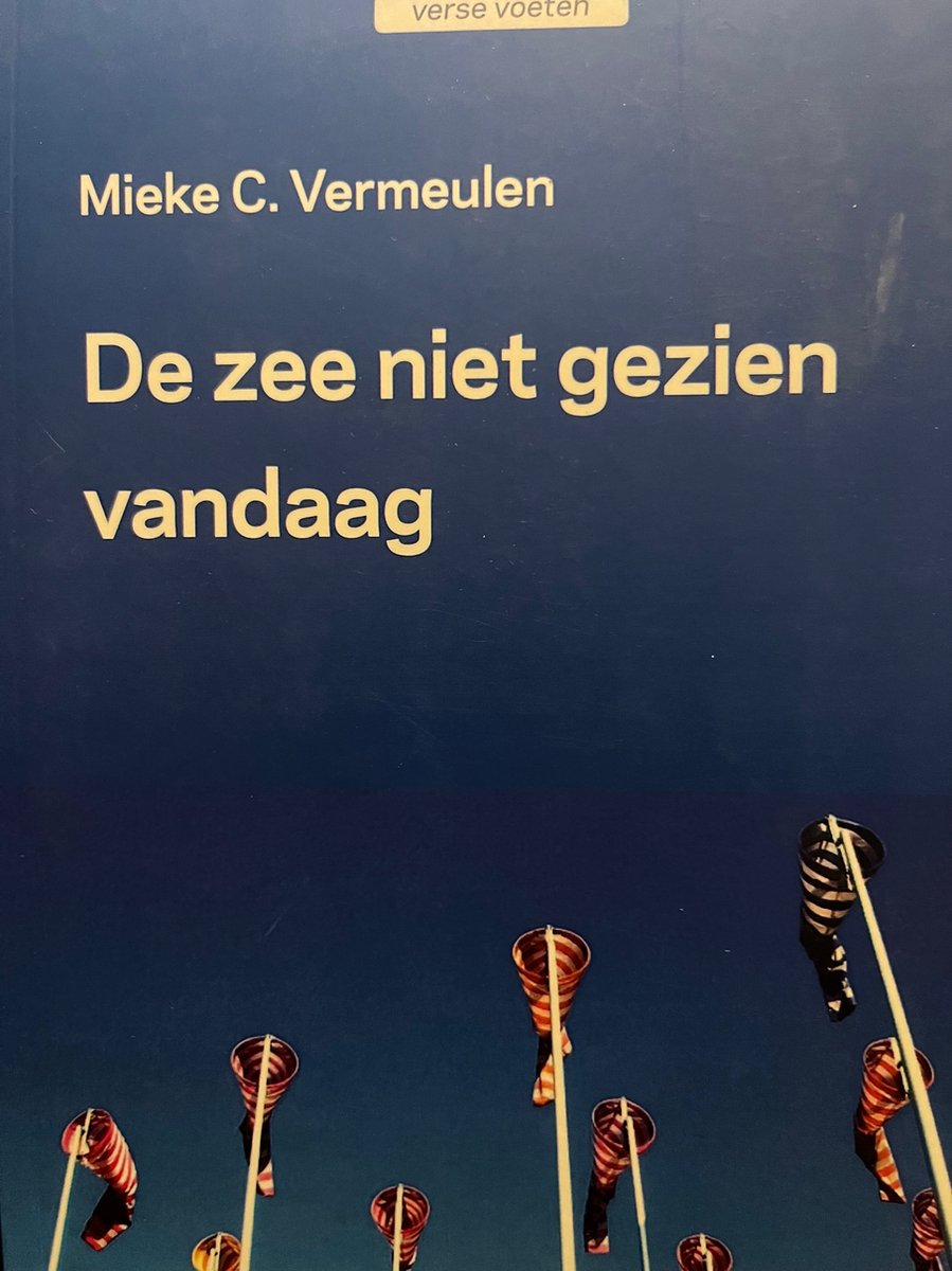 De zee niet gezien vandaag