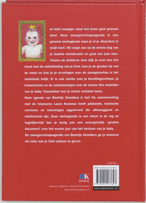 Veilig Zwanger Agenda achterkant