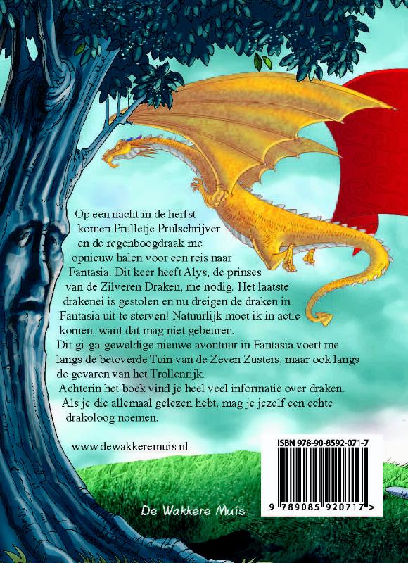 Fantasia IV achterkant