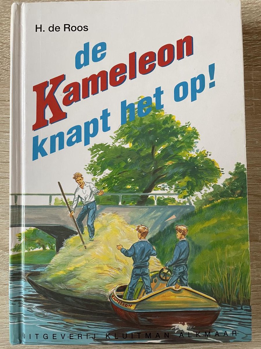 De Kameleon knapt het op! / Kameleonboeken / 50