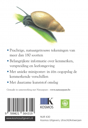 Compact Gids  -   Dieren en planten in en rond vijver en plas achterkant