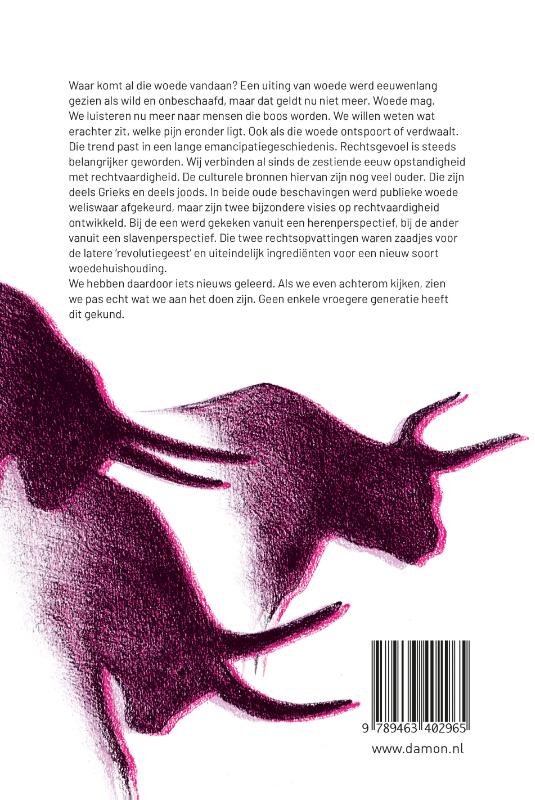 De waarde van woede achterkant