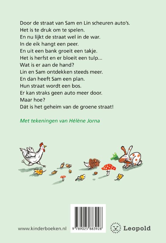 Het geheim van de groene straat achterkant