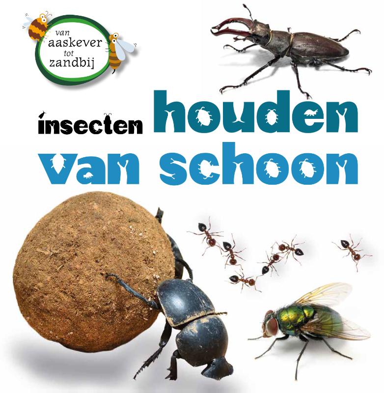 Insecten houden van schoon / Van aaskever tot zandbij