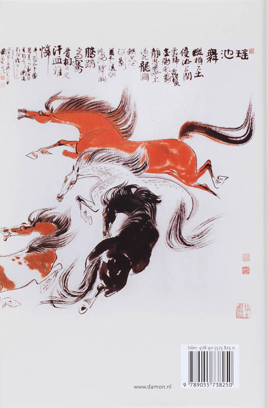 Zwervend met Zhuangzi achterkant