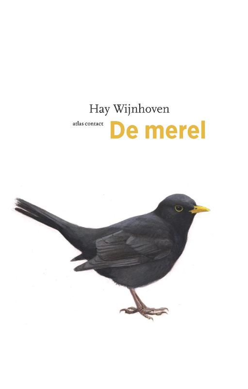 De merel / De vogelserie / 10