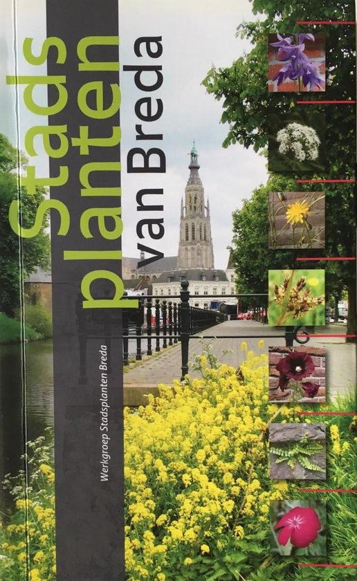 Stadsplanten van Breda