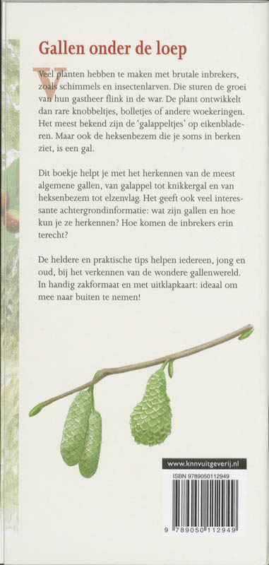 In beeld 21 - Gallen in beeld achterkant